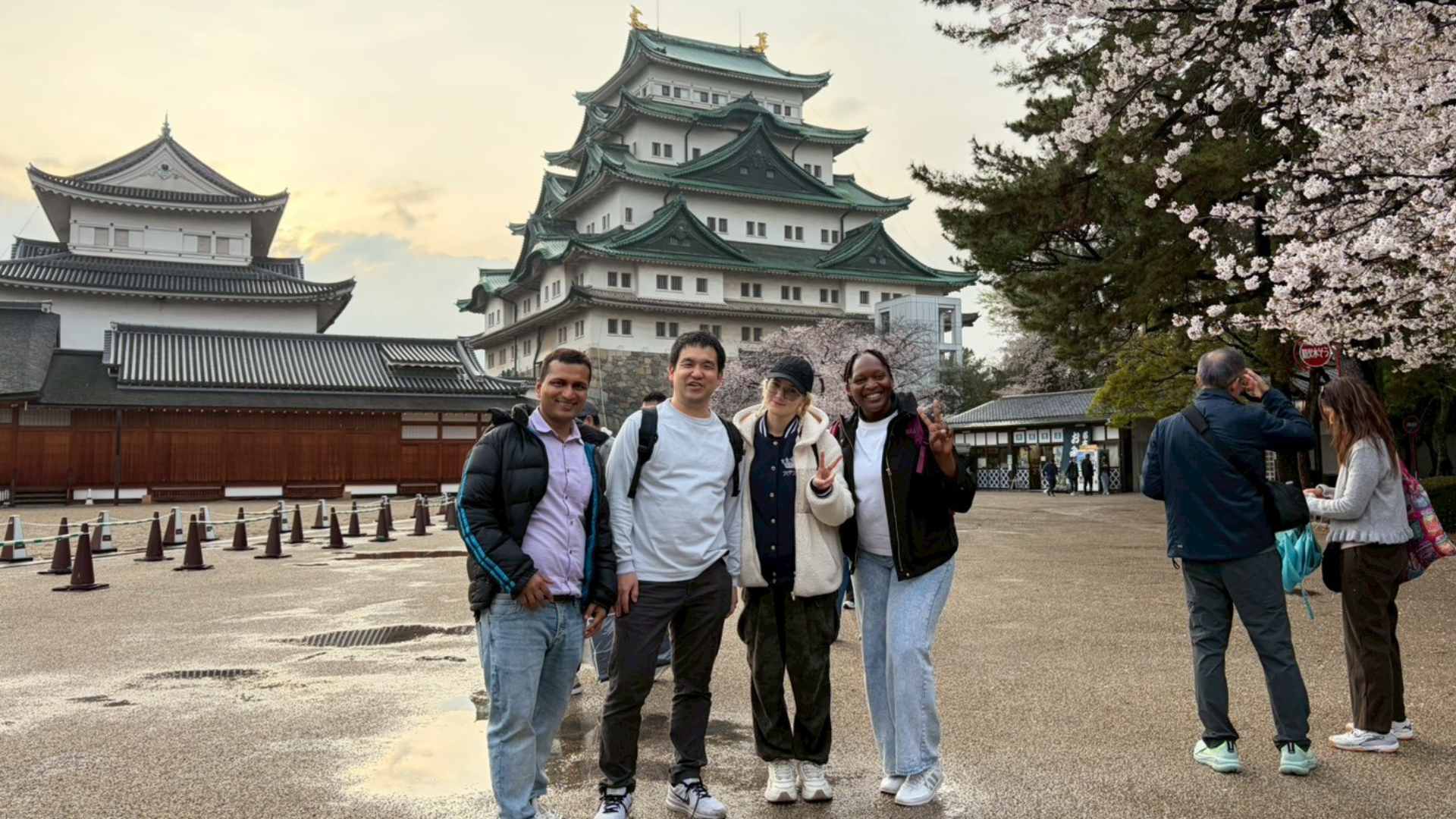 ボランティア活動の様子